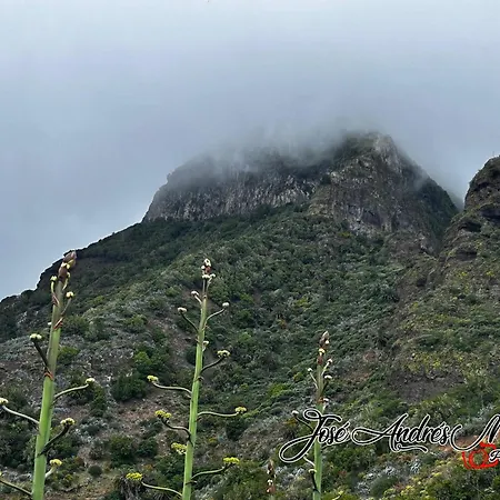 بيت للعطل Casa Jonay