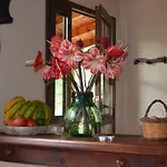 Casa Jonay * 헤르미가