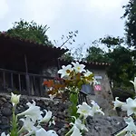 Casa Jonay 펜션 *