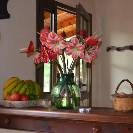 Casa Jonay * Hermigua